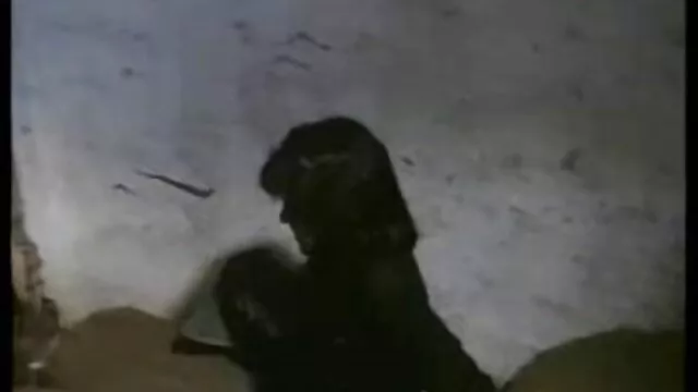 عالی :  عیار سبزه سکس کون زیبا بیب می شود بیدمشک او میخ در موسسه رهنی کلیپ های ویدیویی رایگان 
